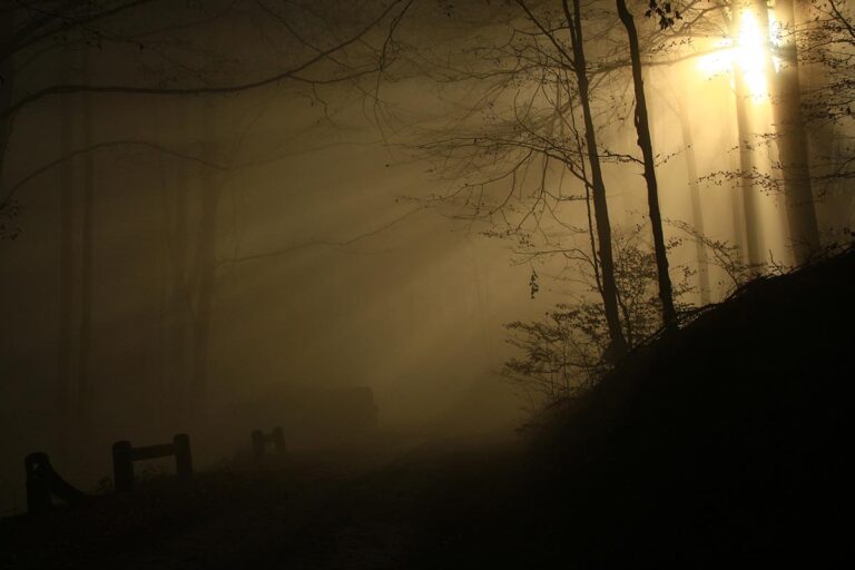 Óbükk, Vajdavár, kirándulás Váraszó, Szalajka-ház, vendégház, Tarnavidéki Tájvédelmi körzet