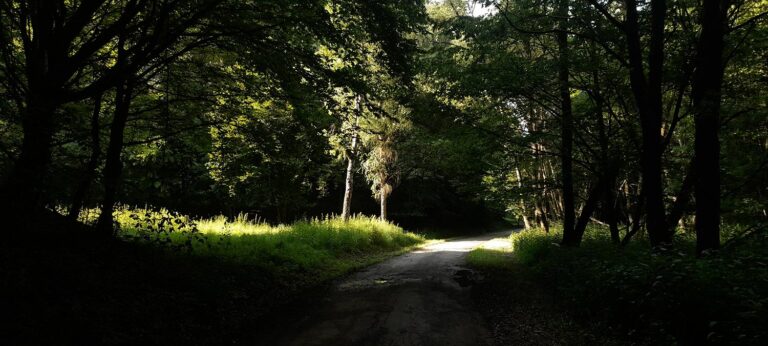 Szalajkaház Váraszó - Óbükk, Vajdavár, Kohász Kék, vendégház, szálláshely